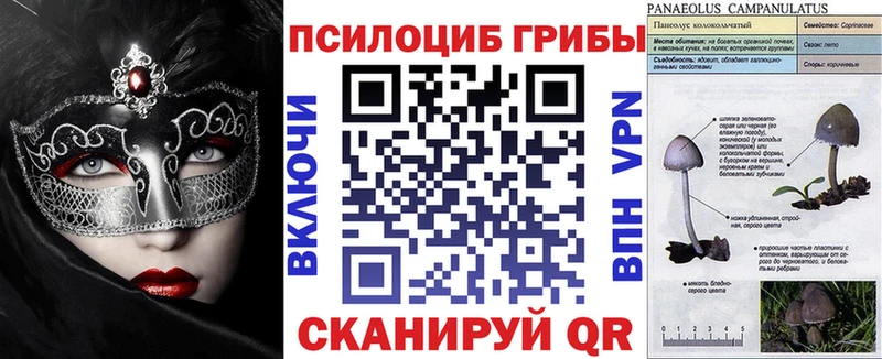 наркота  ссылка на мегу рабочий сайт  Псилоцибиновые грибы Cubensis  Нюрба 